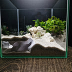 Terrarium Cave & Aquarium Tunnel | 3D Printed Under-Sand Hide for Aquascaping, Cichlids, Shrimp, and Reptiles - "Corner Office" Model - PhD Aqua Fabrication