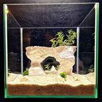 3D Printed Arch Hideout – Aquascape, Terrarium Rock Feature for Cichlids, Plecos, Reptiles