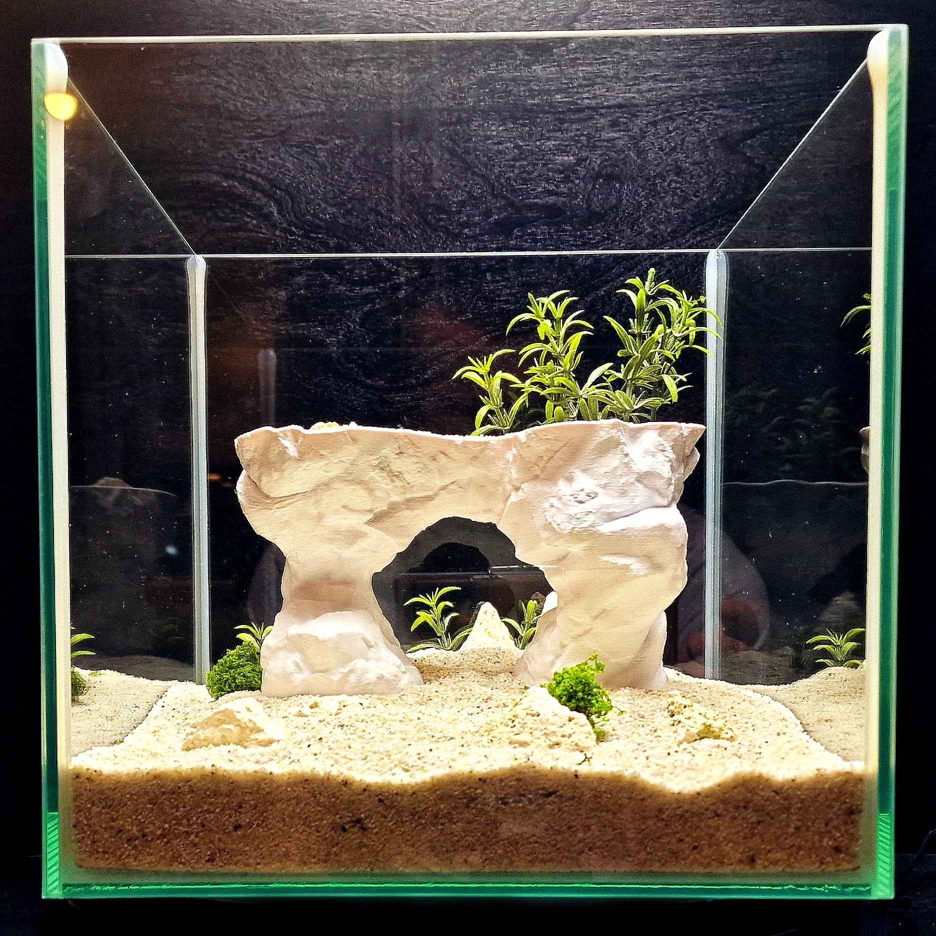 3D Printed Arch Hideout – Aquascape, Terrarium Rock Feature for Cichlids, Plecos, Reptiles