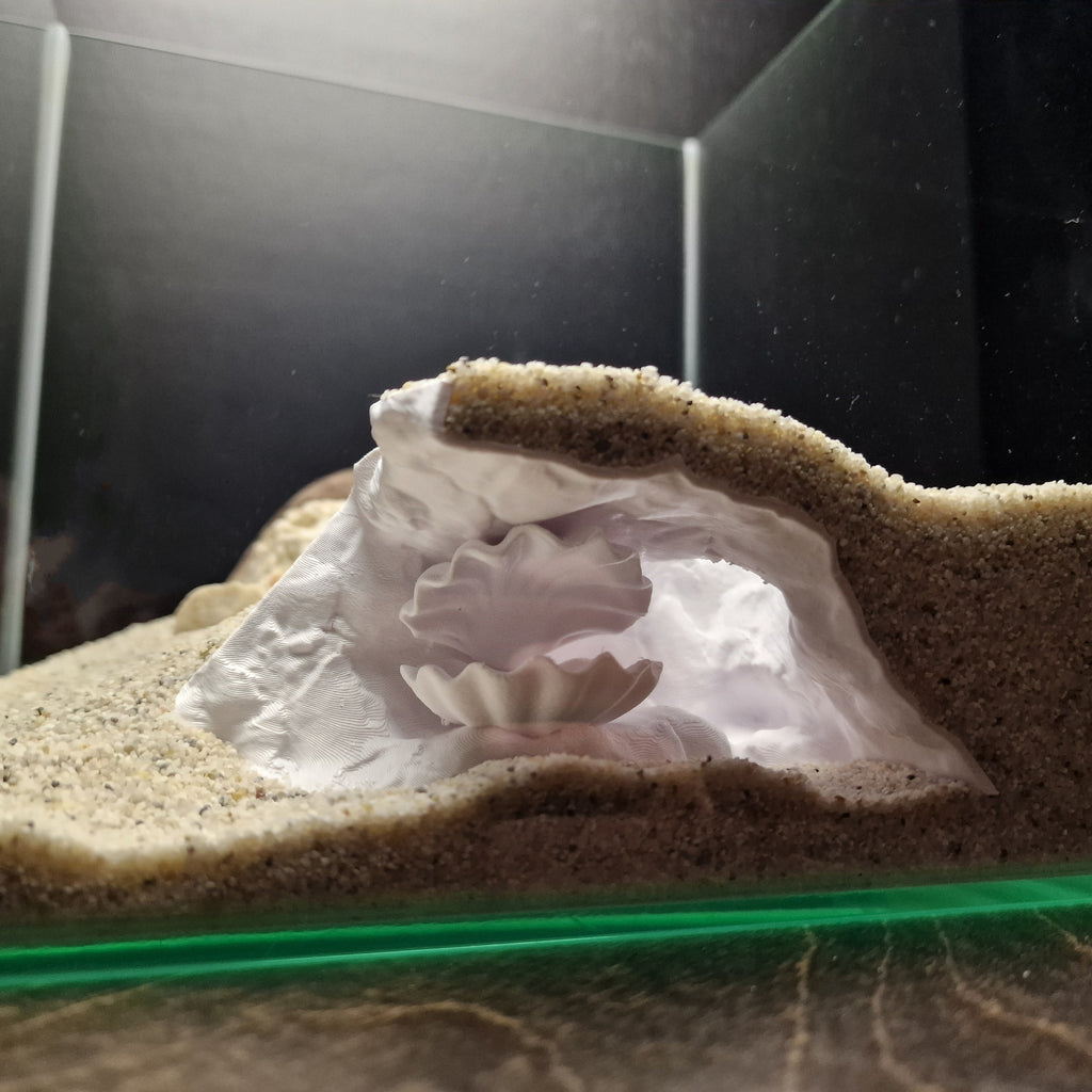 Aquarium Cave with Integrated Clam Shell Hide – 3D Printed Rock Texture Decor for Fish Tanks, Aquascapes, and Reptile Terrariums - PhD Aqua Fabrication