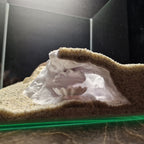Aquarium Cave with Integrated Clam Shell Hide – 3D Printed Rock Texture Decor for Fish Tanks, Aquascapes, and Reptile Terrariums - PhD Aqua Fabrication