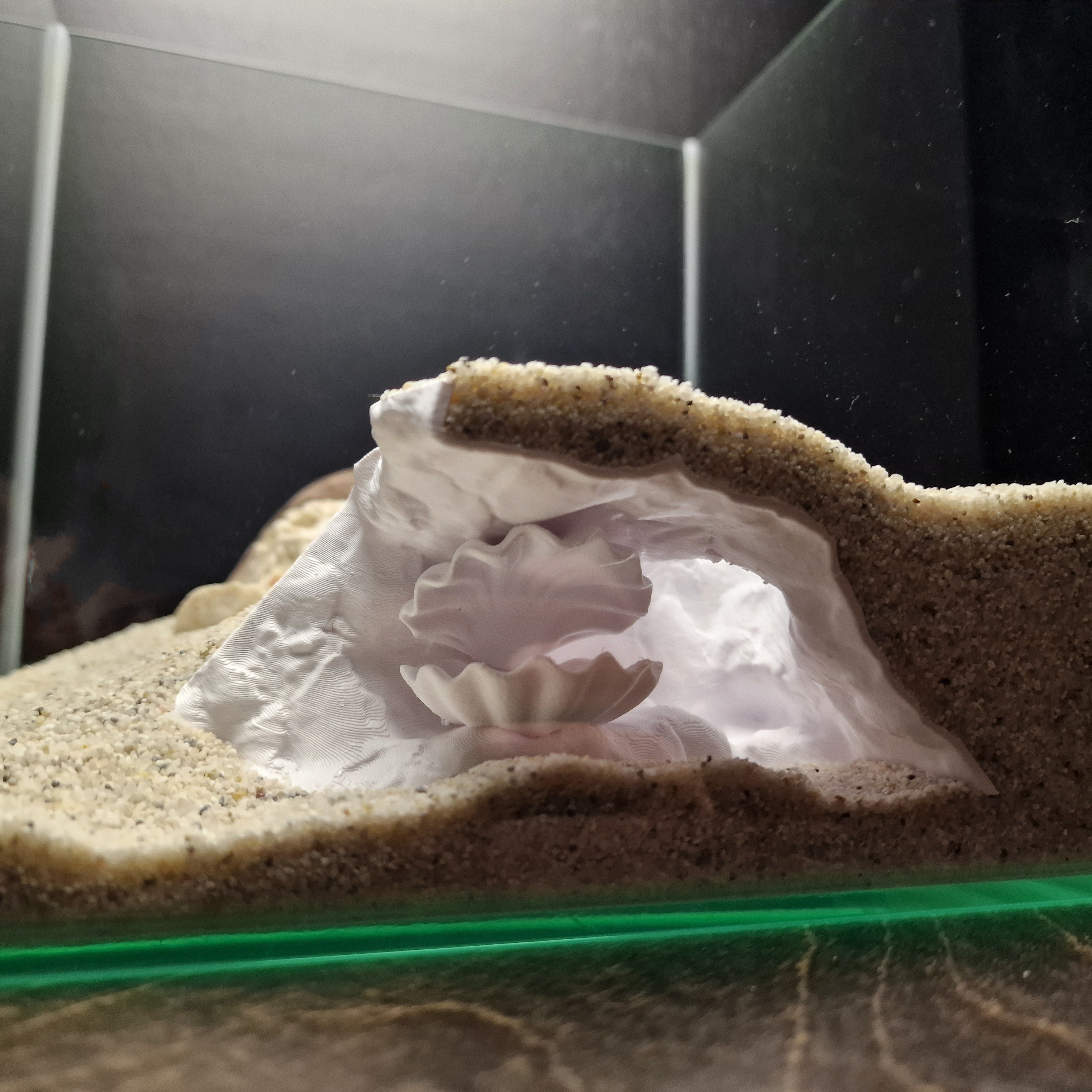 Aquarium Cave with Integrated Clam Shell Hide – 3D Printed Rock Texture Decor for Fish Tanks, Aquascapes, and Reptile Terrariums - PhD Aqua Fabrication