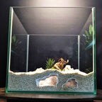 3D Printed Terrarium Cave – Rock Hideout for Terrarium, Aquarium - Fully Customizable Sizing