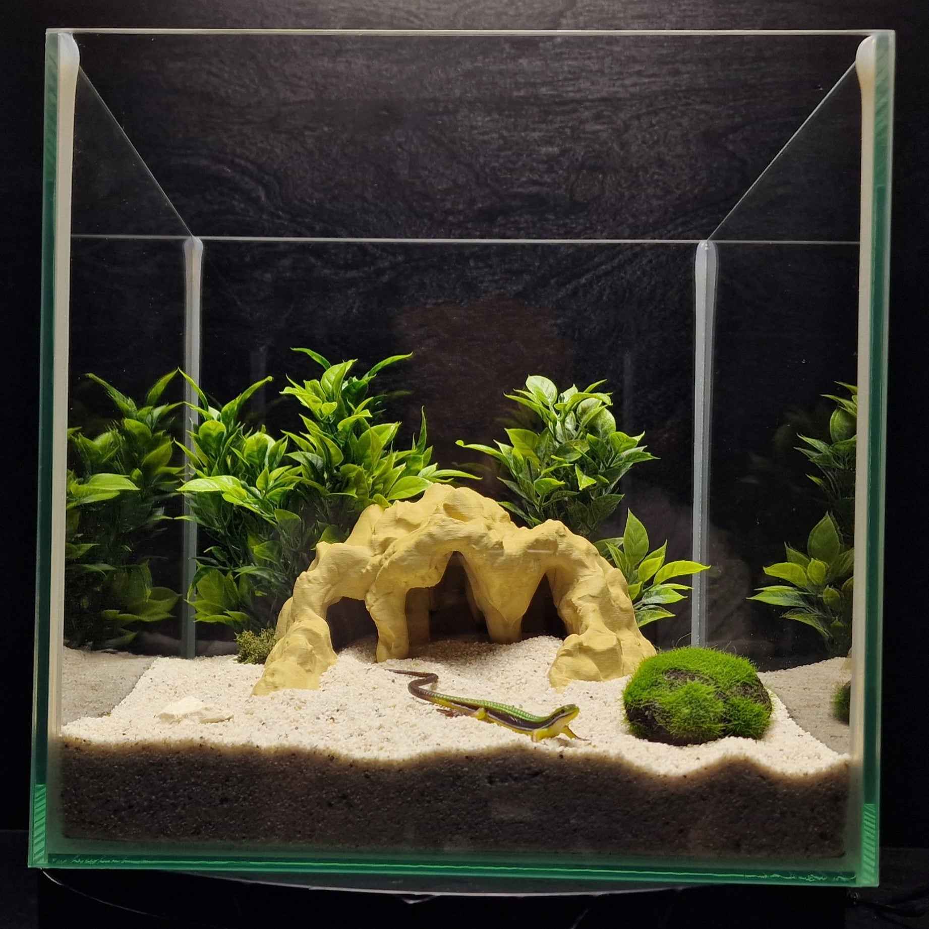 3D Printed Terrarium Reptile and Fish Cave | Natural Desert Rock Hideout - "Three Ways Home" Model