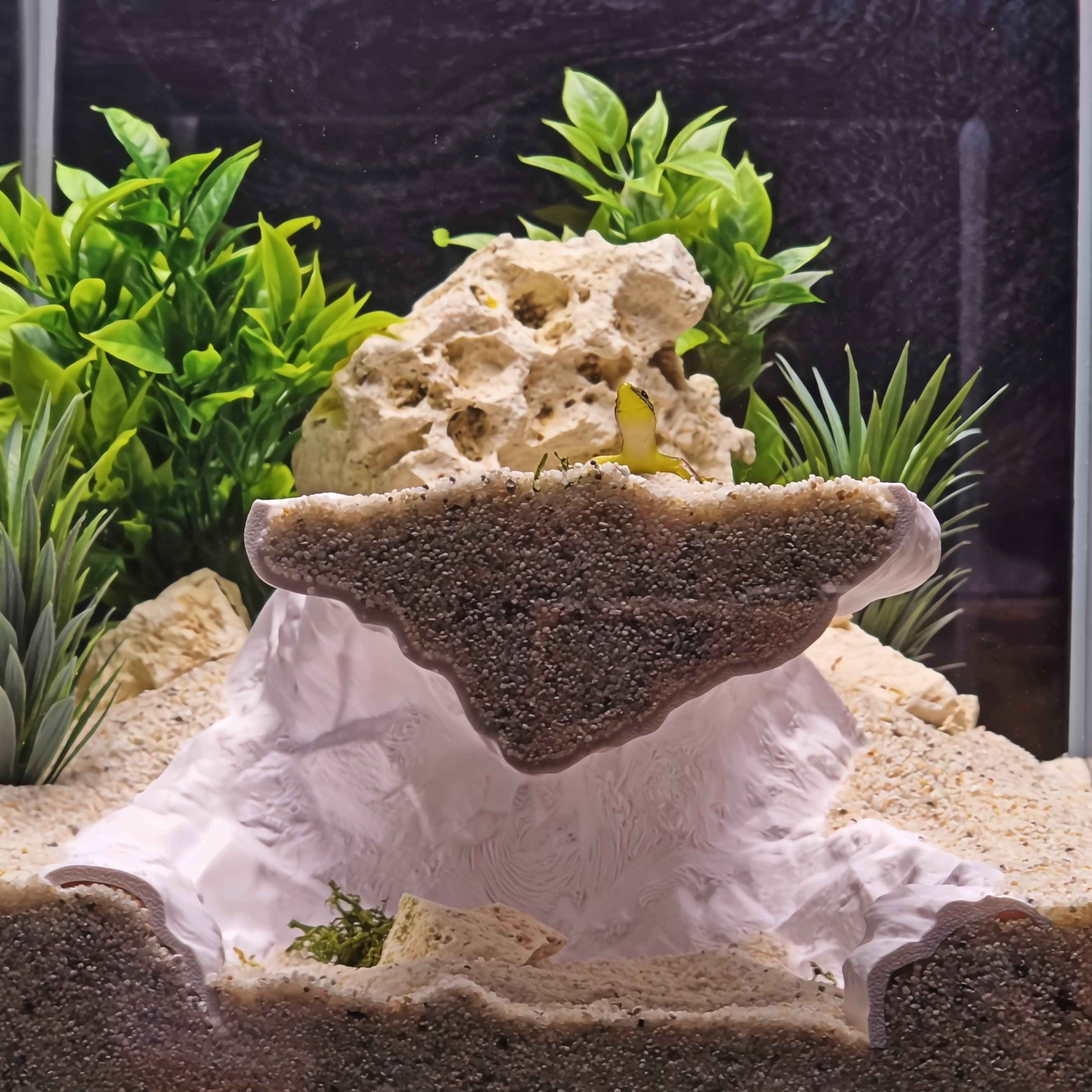 3D Printed Terrarium Cave Passageway – Aquarium Cichlid, Pleco, Gecko Hideout (Customizable)