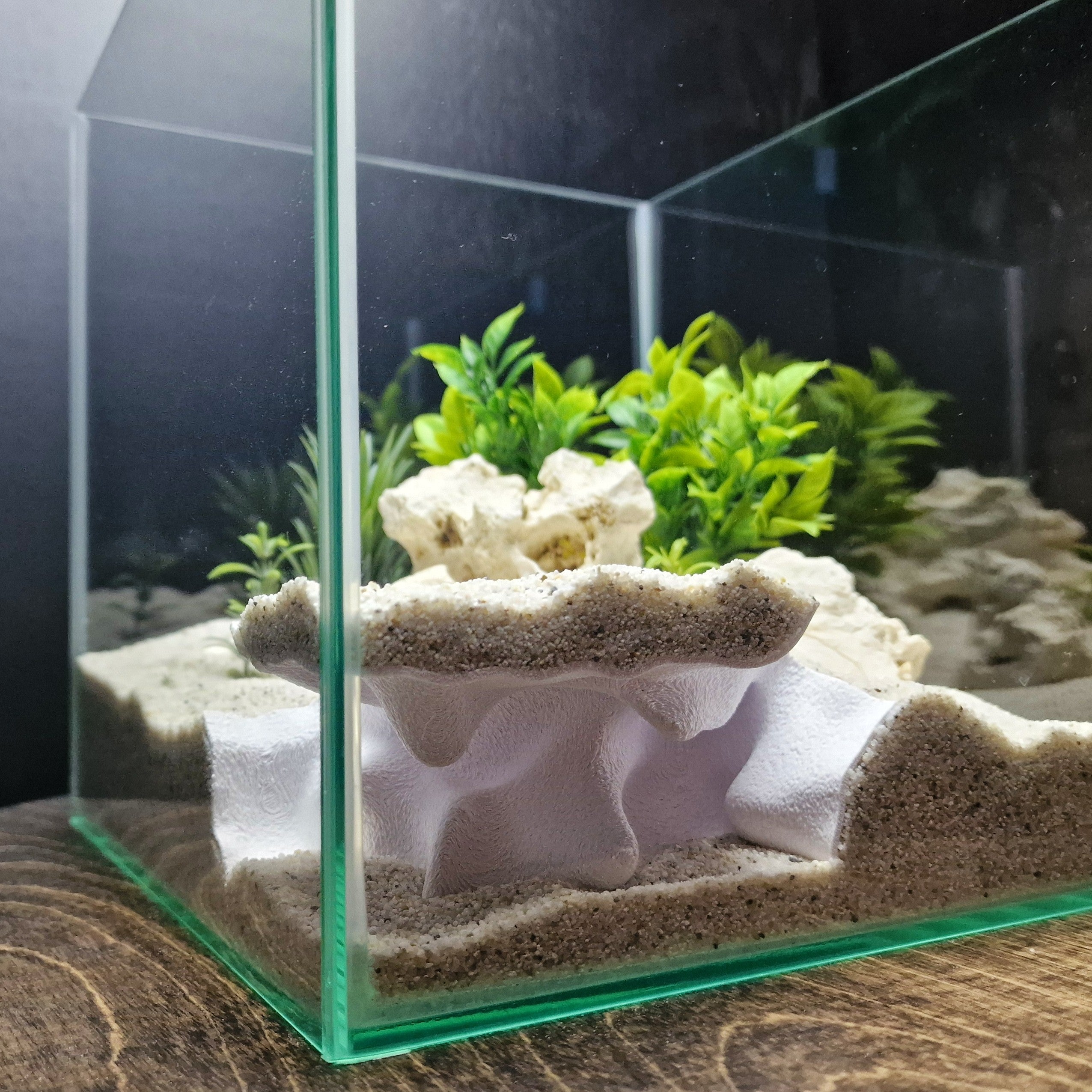 Terrarium Cave & Aquarium Tunnel | 3D Printed Under-Sand Hide for Aquascaping, Cichlids, Shrimp, and Reptiles - "Corner Office" Model - PhD Aqua Fabrication