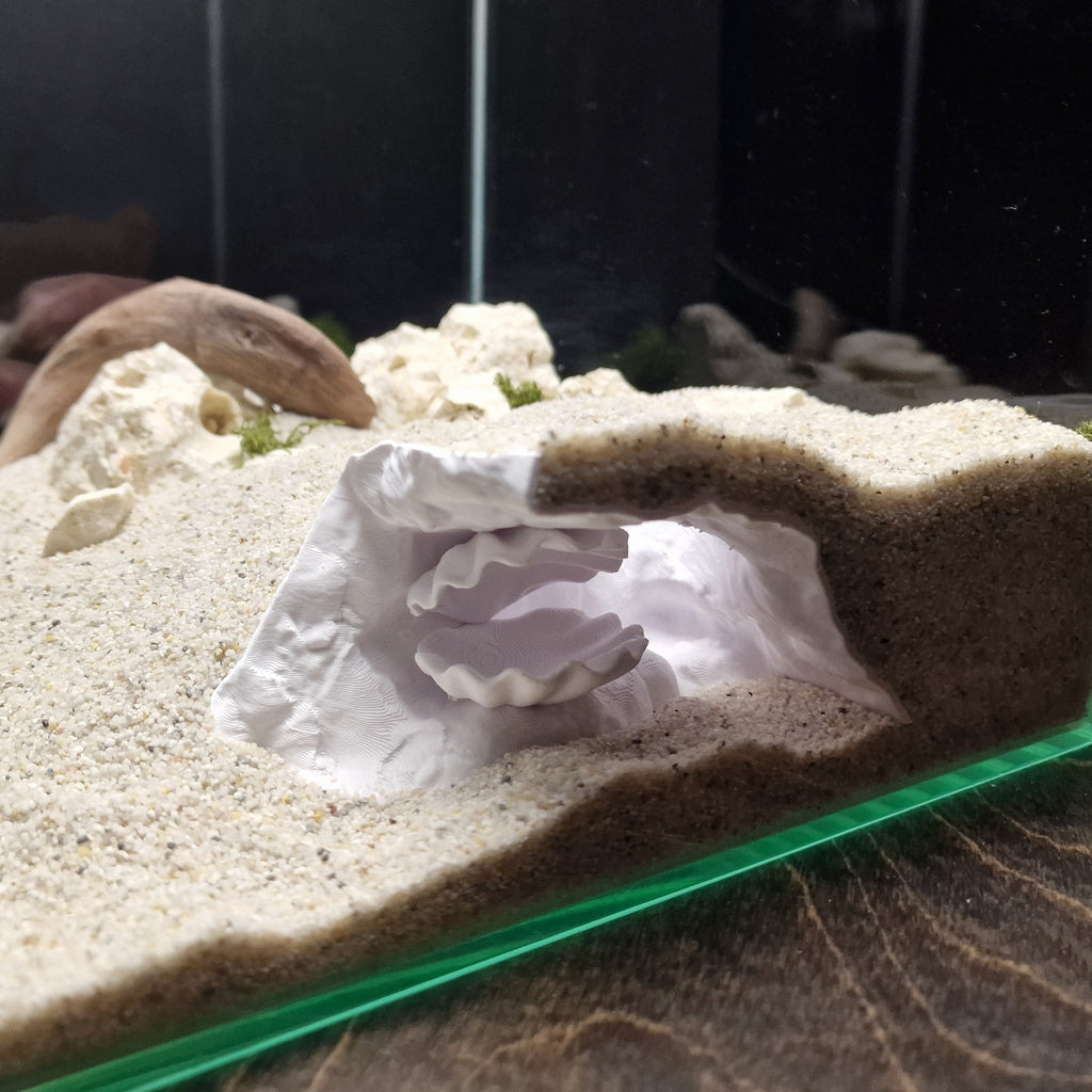 Aquarium Cave with Integrated Clam Shell Hide – 3D Printed Rock Texture Decor for Fish Tanks, Aquascapes, and Reptile Terrariums - PhD Aqua Fabrication