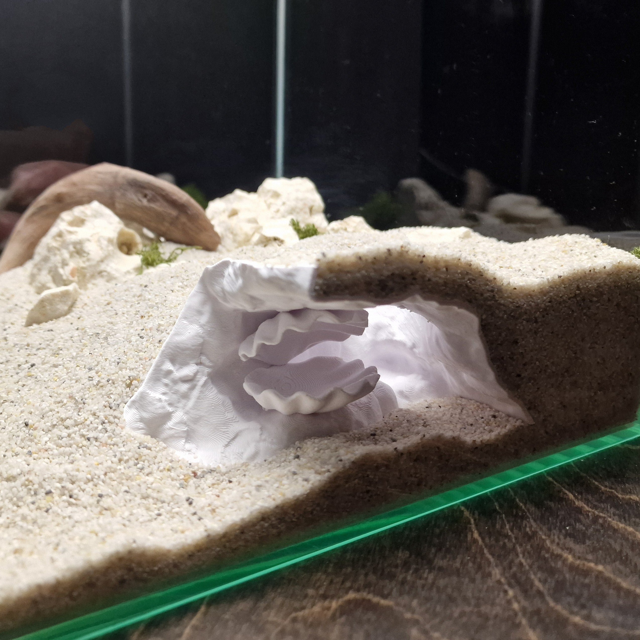 Aquarium Cave with Integrated Clam Shell Hide – 3D Printed Rock Texture Decor for Fish Tanks, Aquascapes, and Reptile Terrariums - PhD Aqua Fabrication
