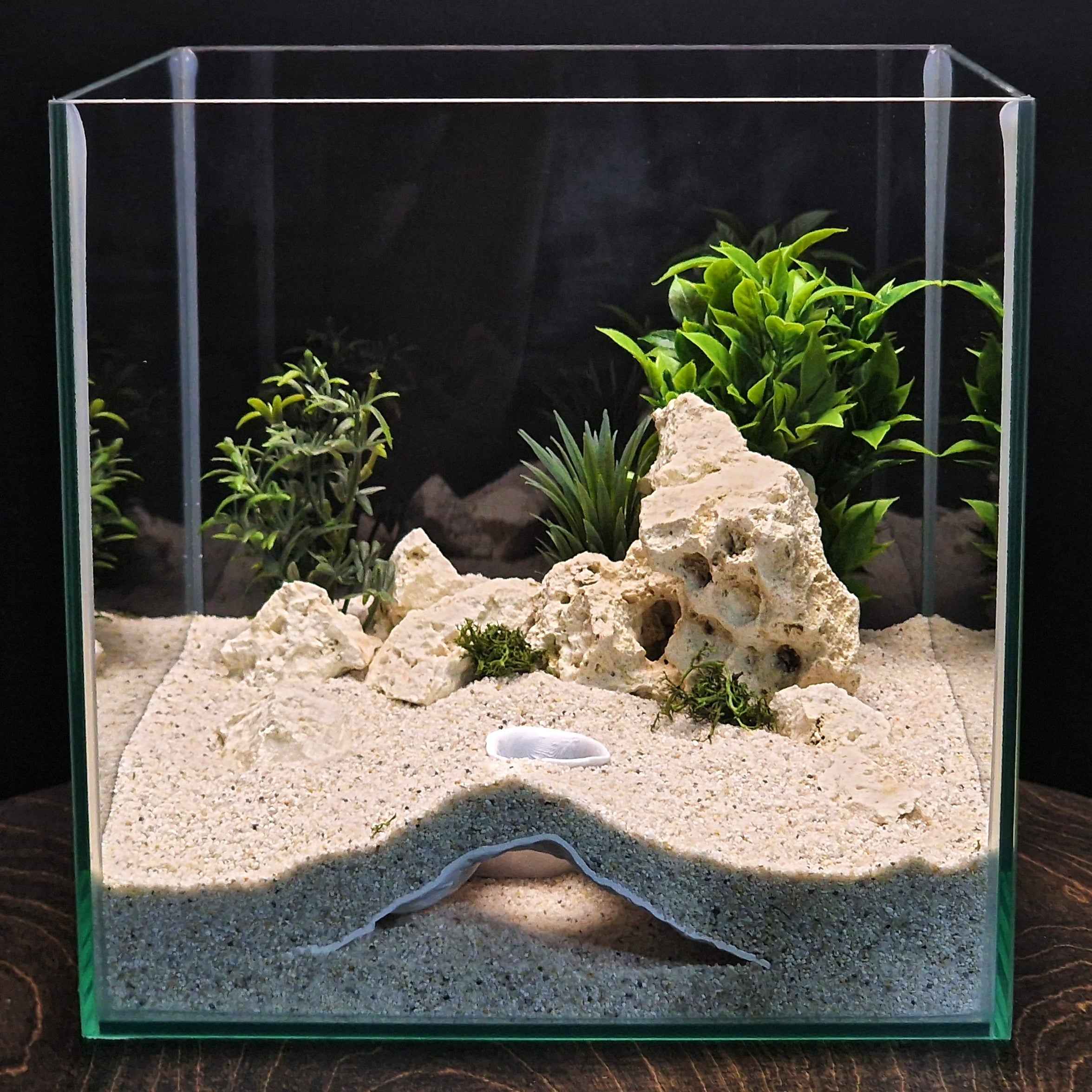 3D Printed Terrarium Decor – Hideout Cave for Terrarium, Aquarium - Fully Customizable Sizing