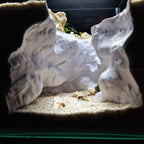 3D Printed Cave Decor – Deep Rift for Terrarium & Aquarium - Customizable Sizing - "Ripped Earth" Model