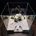 3D Printed Desert Rock Cave Hideout for Reptiles and Fish | Naturalistic Terrarium Decor - "Nebula Ruin" Model