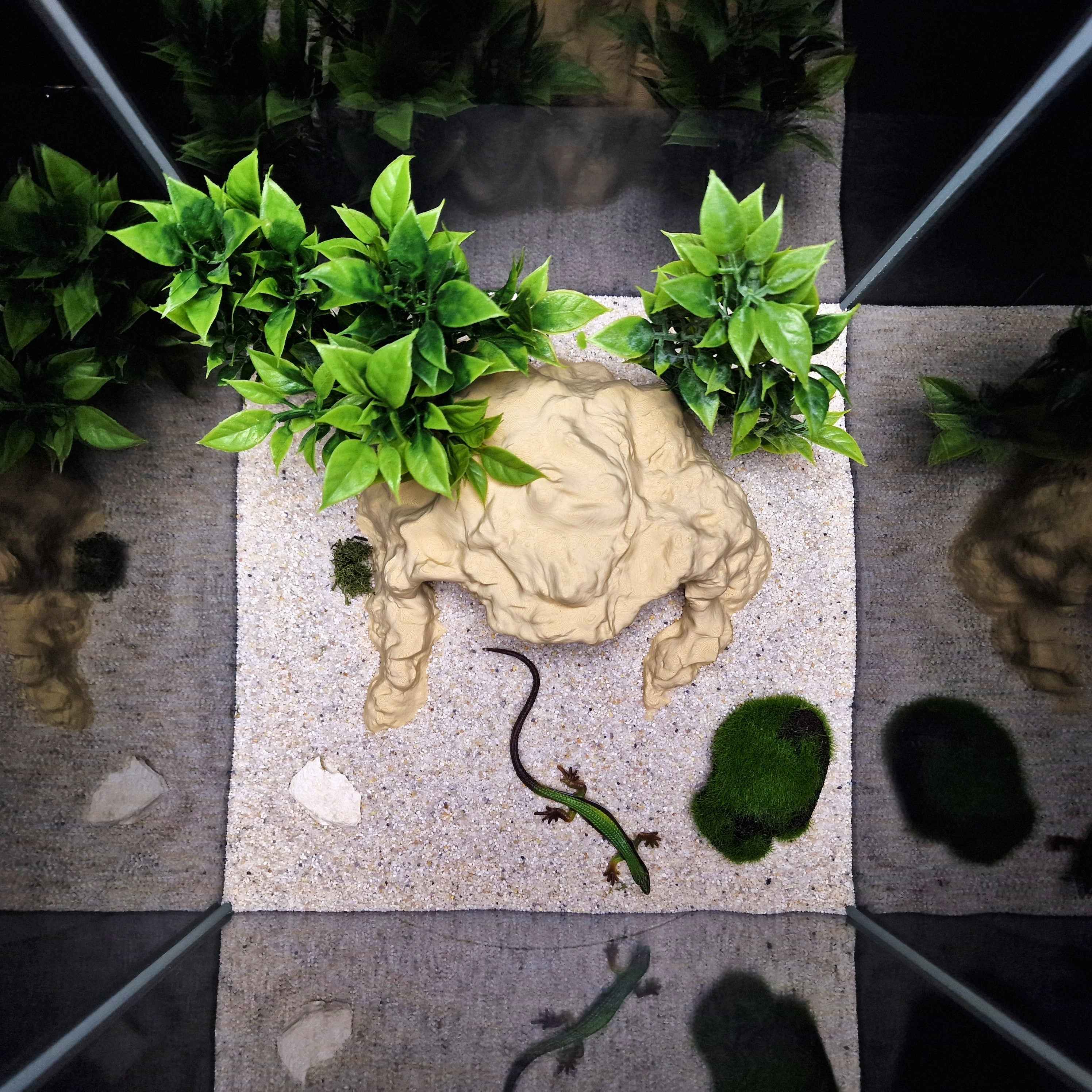 3D Printed Terrarium Reptile and Fish Cave | Natural Desert Rock Hideout - "Three Ways Home" Model