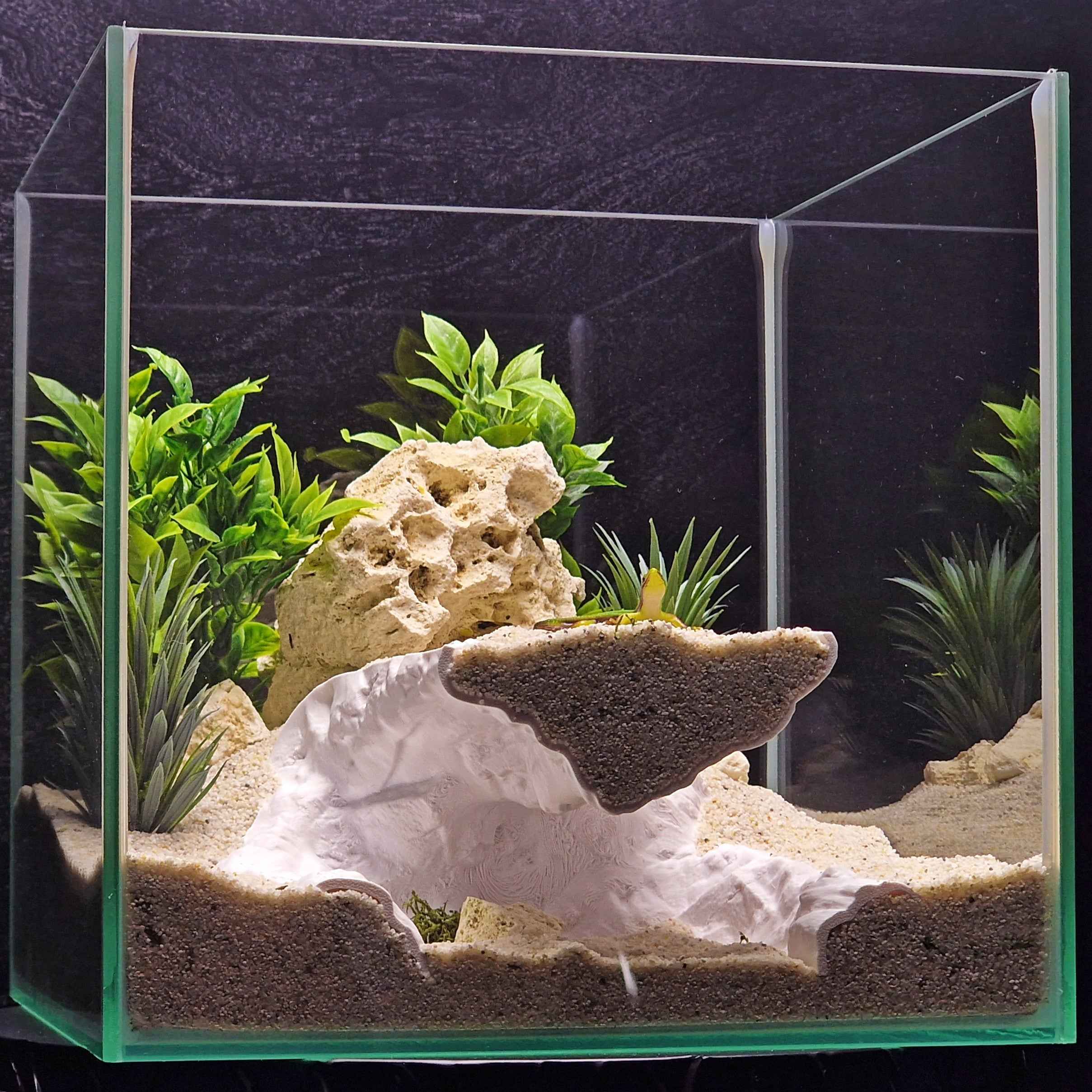 3D Printed Terrarium Cave Passageway – Aquarium Cichlid, Pleco, Gecko Hideout (Customizable)