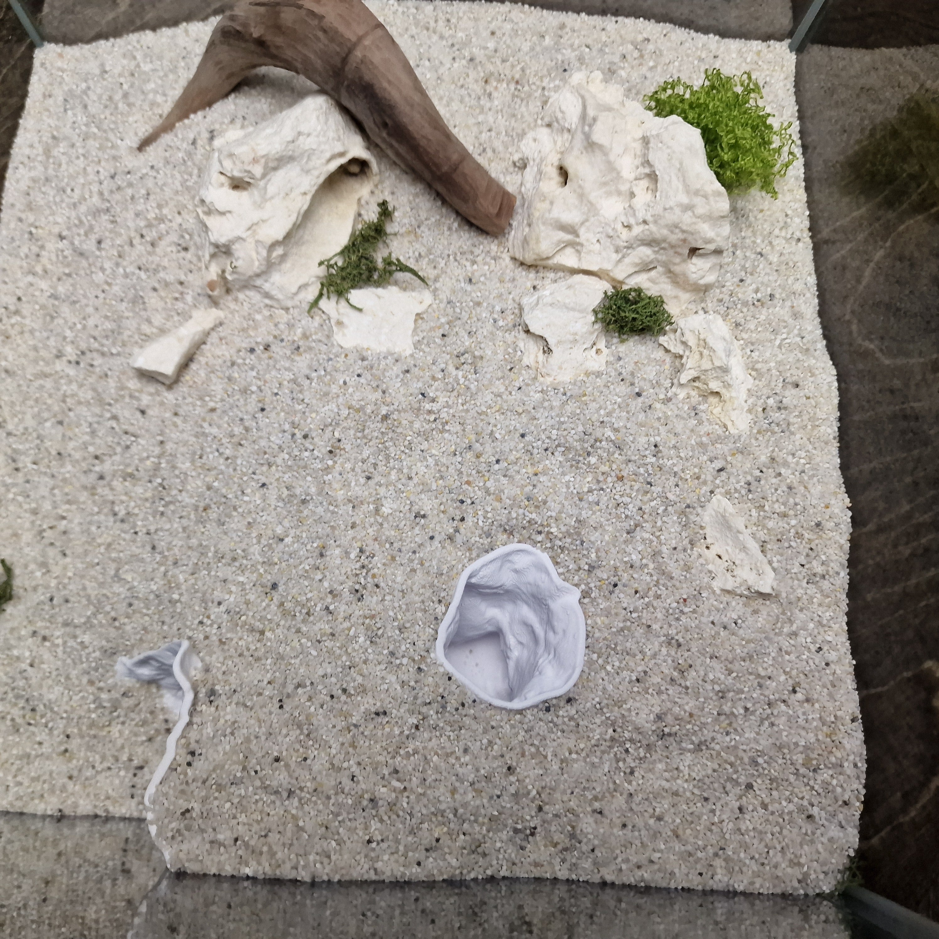 Aquarium Cave with Integrated Clam Shell Hide – 3D Printed Rock Texture Decor for Fish Tanks, Aquascapes, and Reptile Terrariums - PhD Aqua Fabrication