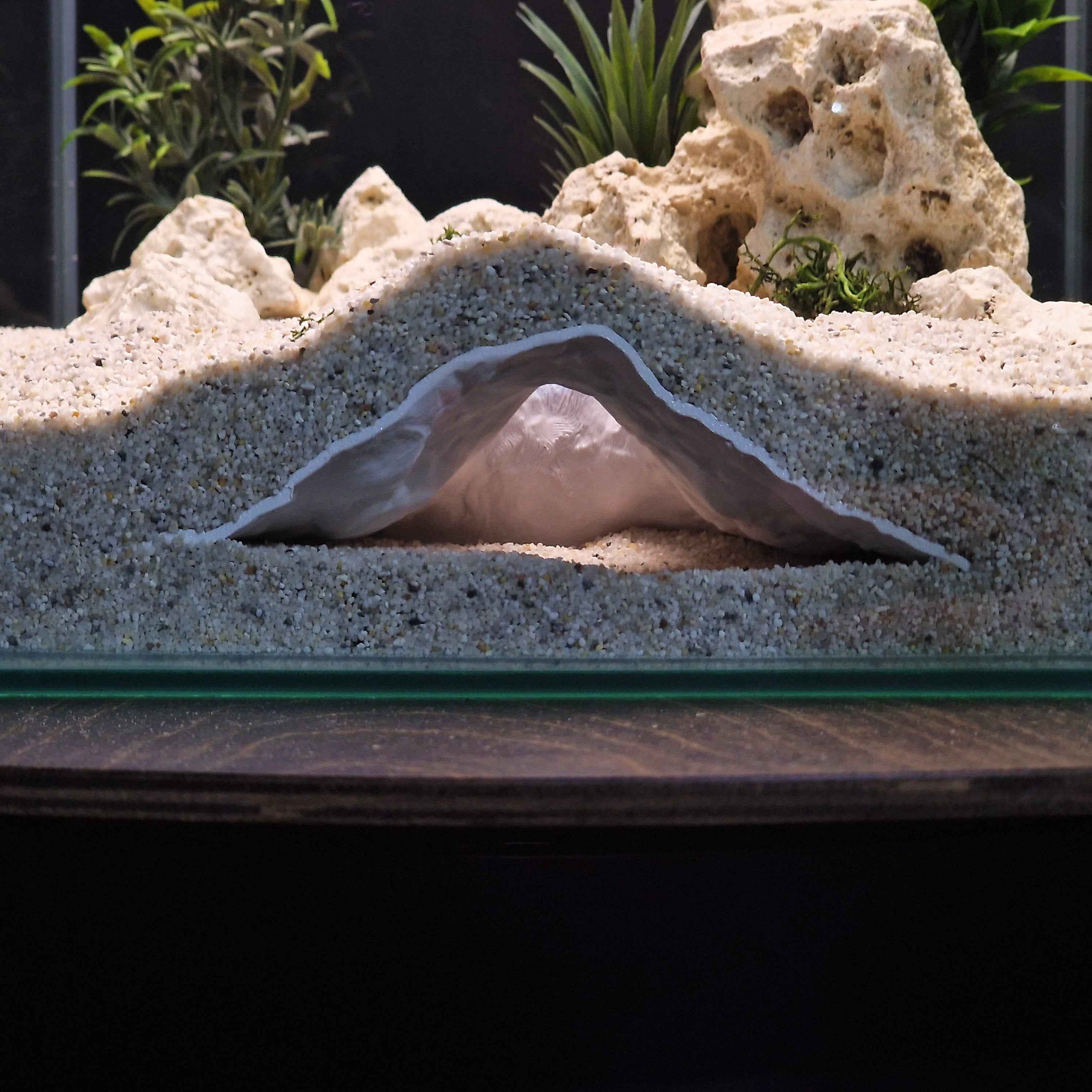 3D Printed Terrarium Decor – Hideout Cave for Terrarium, Aquarium - Fully Customizable Sizing