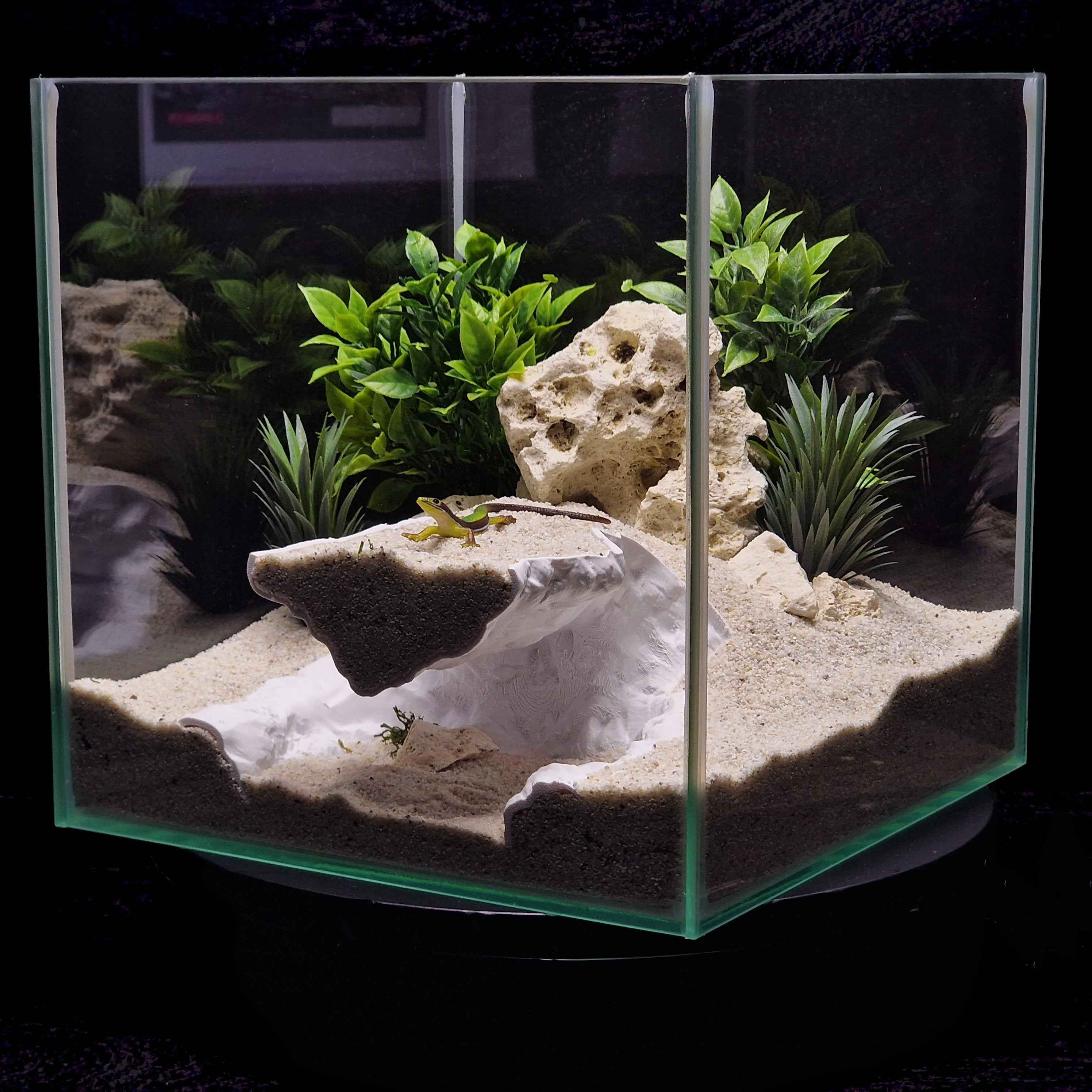 3D Printed Terrarium Cave Passageway – Aquarium Cichlid, Pleco, Gecko Hideout (Customizable)