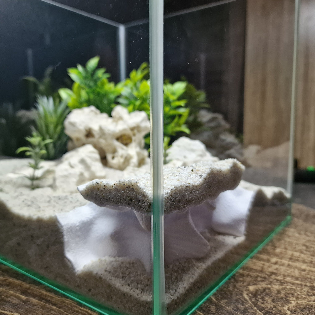 Terrarium Cave & Aquarium Tunnel | 3D Printed Under-Sand Hide for Aquascaping, Cichlids, Shrimp, and Reptiles - "Corner Office" Model - PhD Aqua Fabrication