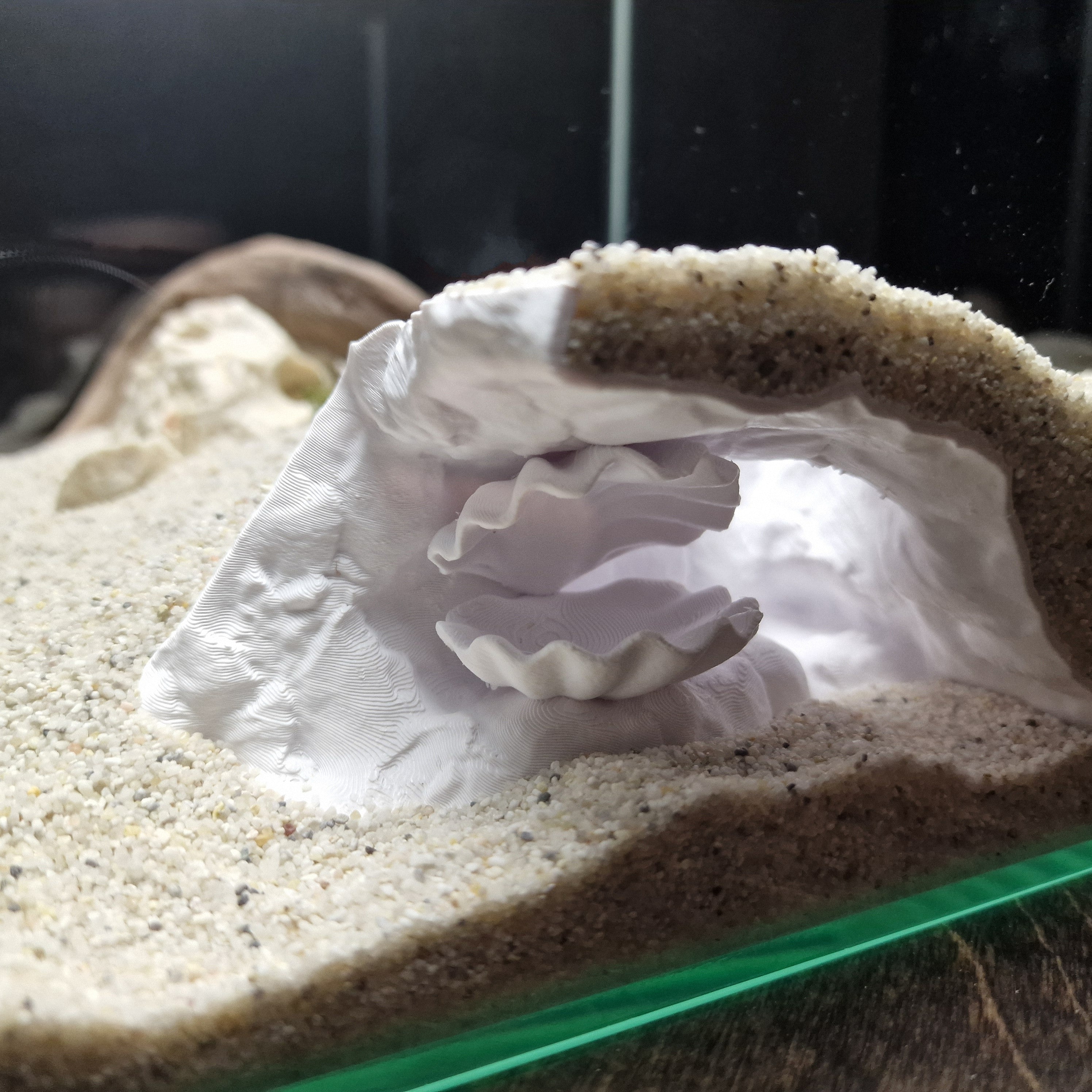 Aquarium Cave with Integrated Clam Shell Hide – 3D Printed Rock Texture Decor for Fish Tanks, Aquascapes, and Reptile Terrariums - PhD Aqua Fabrication