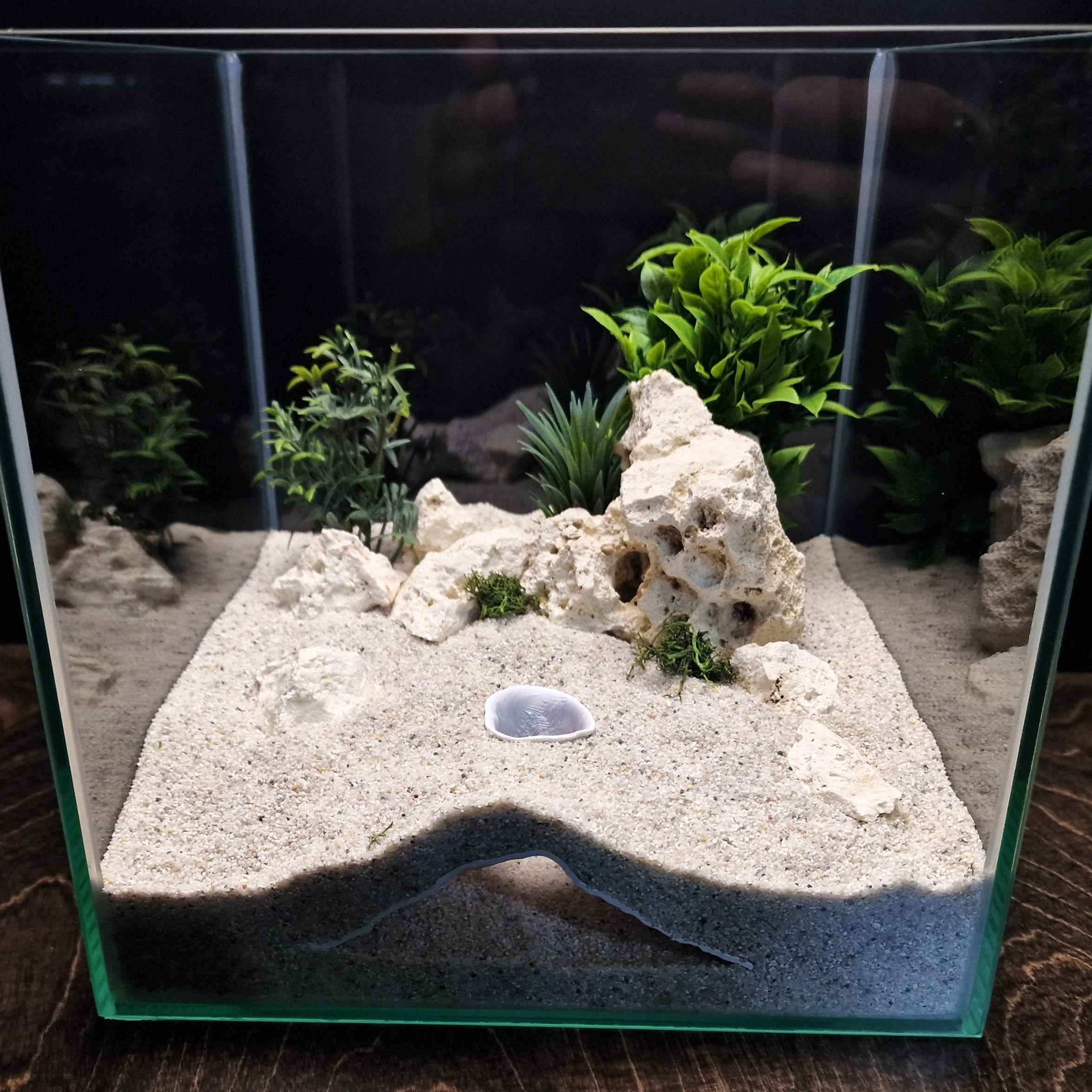 3D Printed Terrarium Decor – Hideout Cave for Terrarium, Aquarium - Fully Customizable Sizing