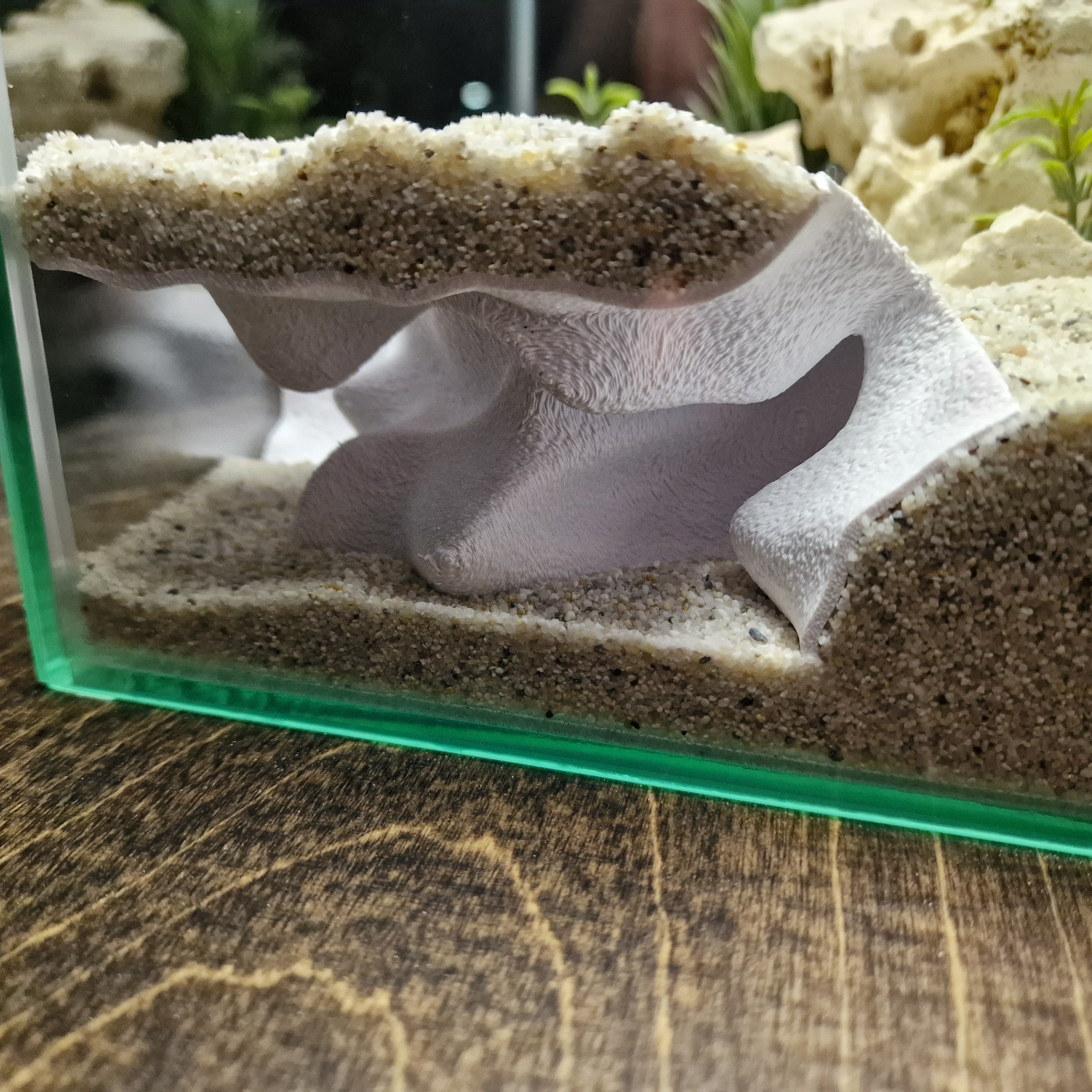 Terrarium Cave & Aquarium Tunnel | 3D Printed Under-Sand Hide for Aquascaping, Cichlids, Shrimp, and Reptiles - "Corner Office" Model - PhD Aqua Fabrication