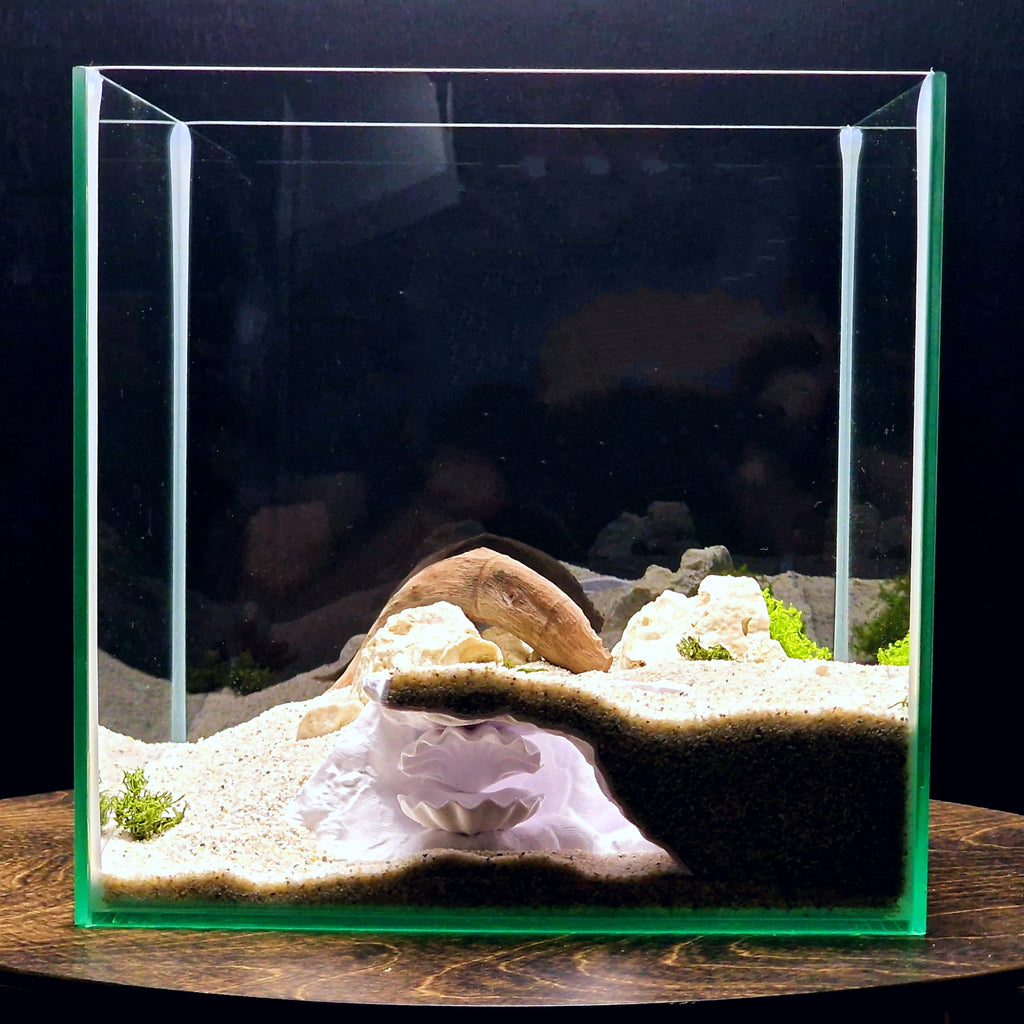 Aquarium Cave with Integrated Clam Shell Hide – 3D Printed Rock Texture Decor for Fish Tanks, Aquascapes, and Reptile Terrariums - PhD Aqua Fabrication