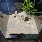 3D Printed Aquascape Cave – Multi-Chamber Reptile Hiding, Fish Shelter - "Take Your Pick" Model - PhD Aqua Fabrication