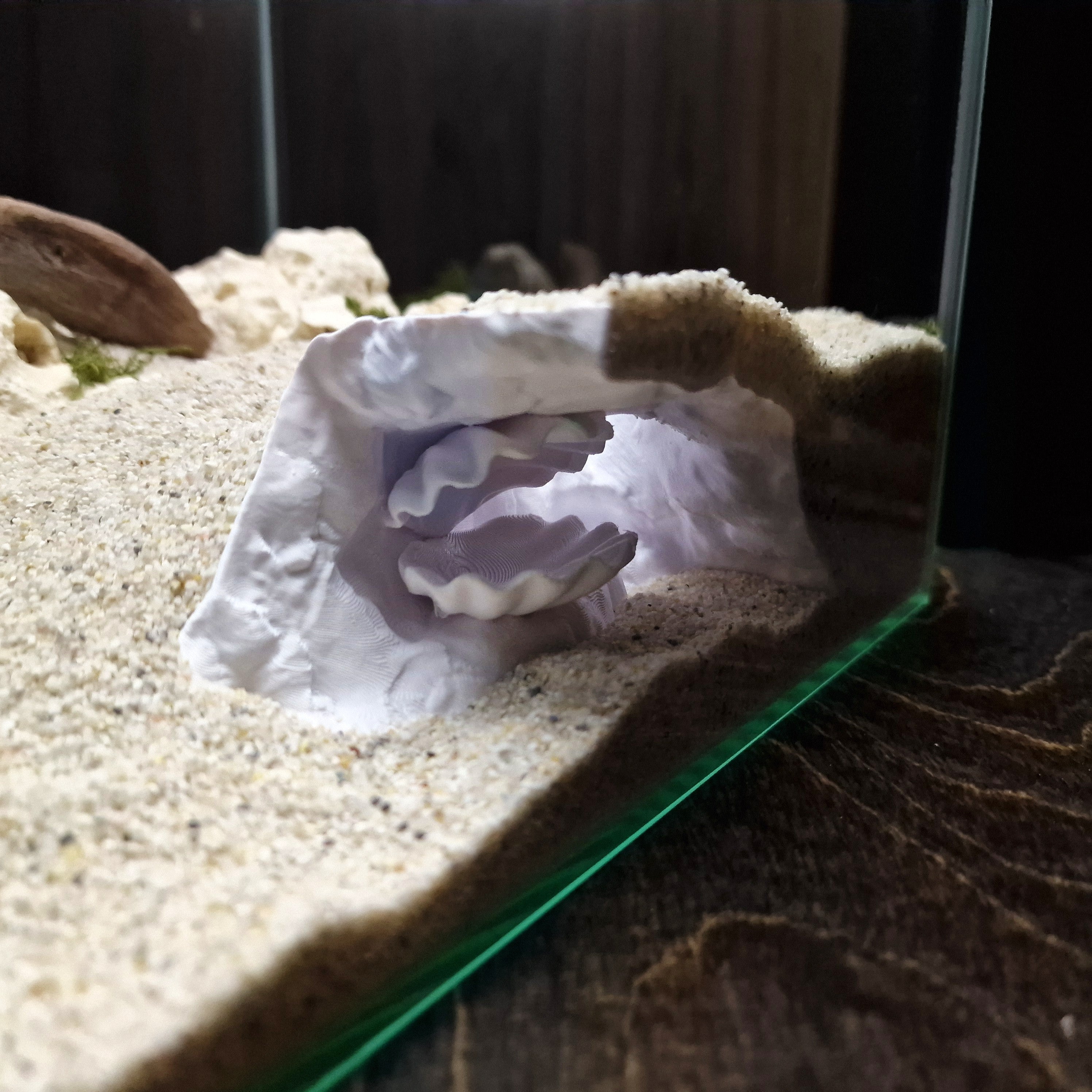 Aquarium Cave with Integrated Clam Shell Hide – 3D Printed Rock Texture Decor for Fish Tanks, Aquascapes, and Reptile Terrariums - PhD Aqua Fabrication