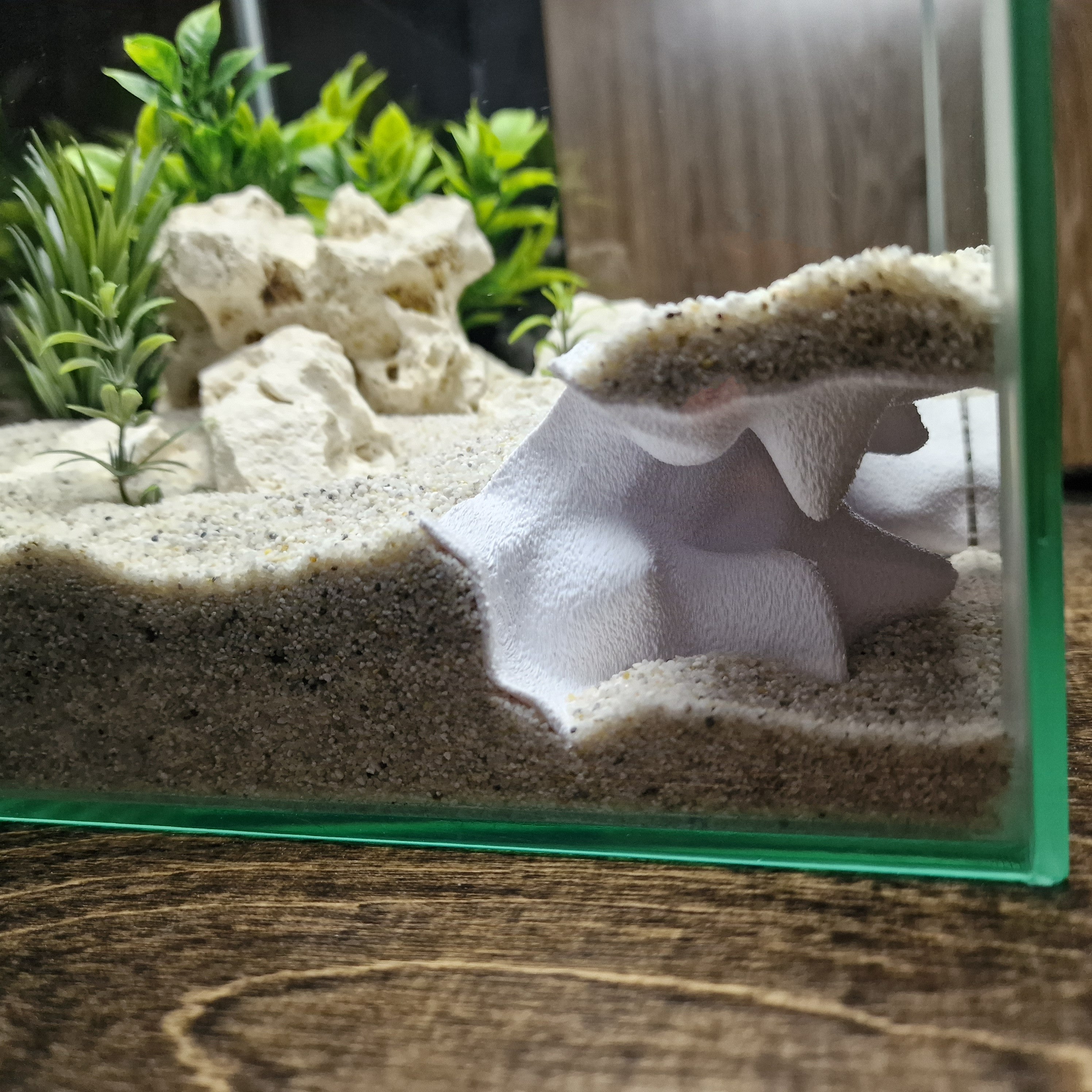 Terrarium Cave & Aquarium Tunnel | 3D Printed Under-Sand Hide for Aquascaping, Cichlids, Shrimp, and Reptiles - "Corner Office" Model - PhD Aqua Fabrication