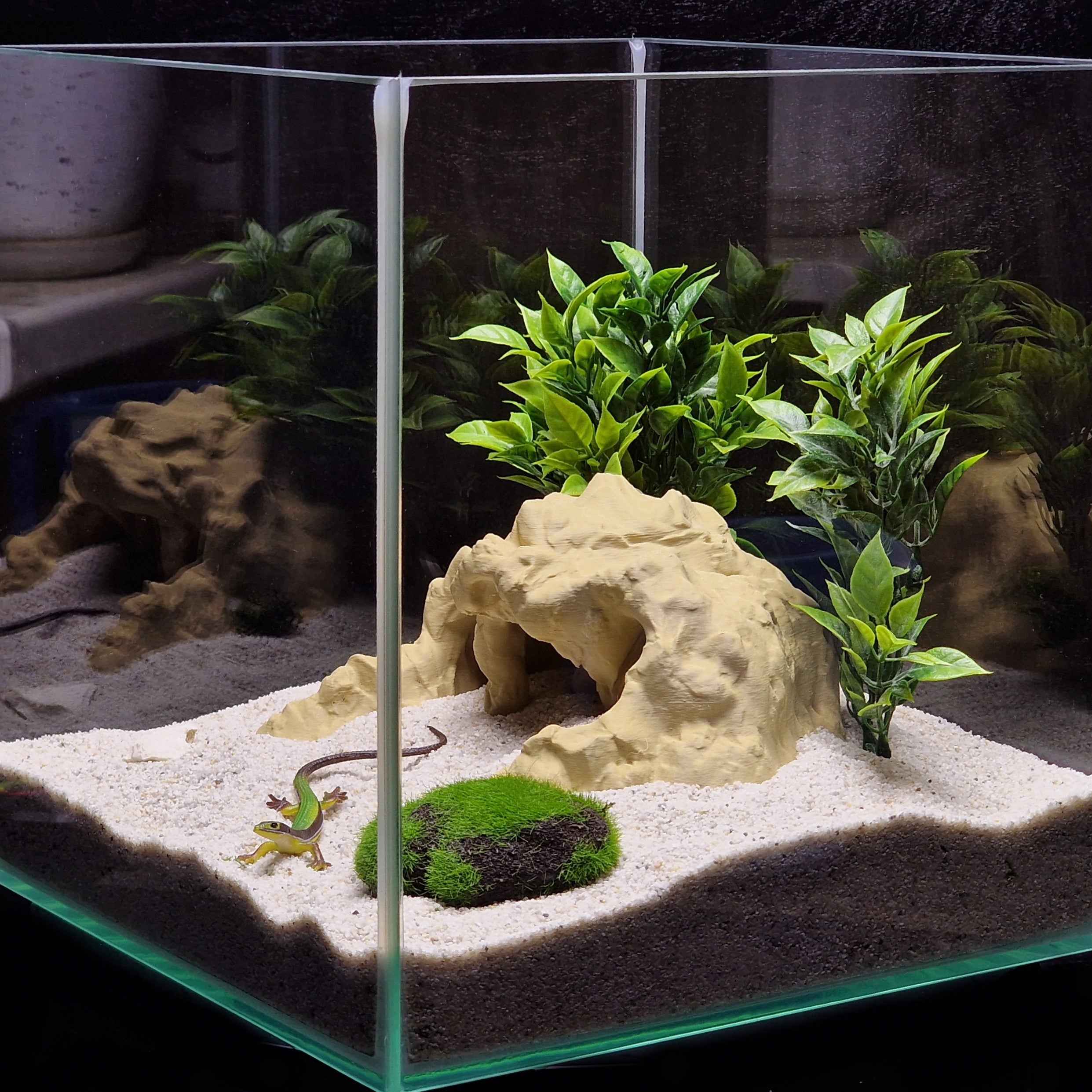 3D Printed Terrarium Reptile and Fish Cave | Natural Desert Rock Hideout - "Three Ways Home" Model