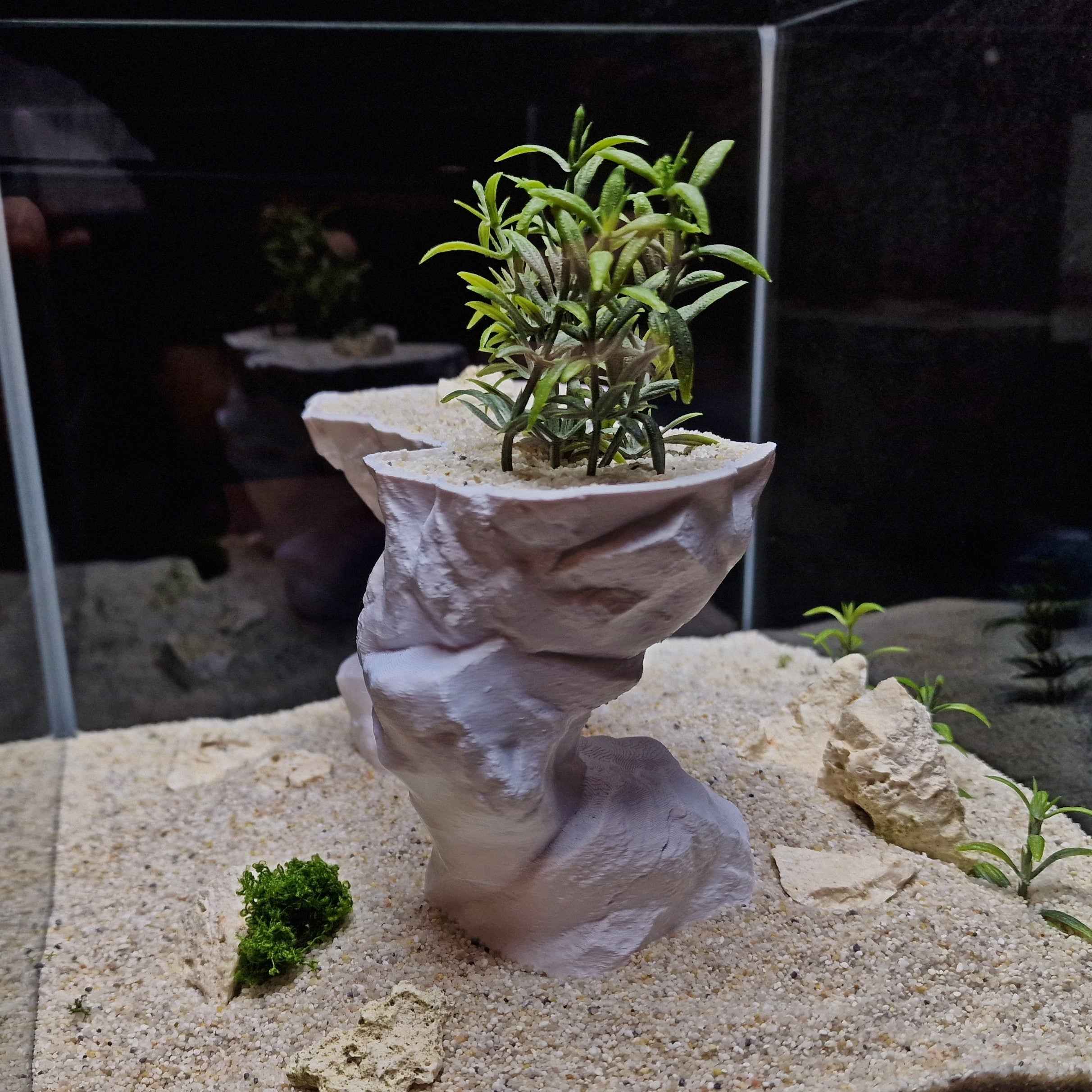 3D Printed Arch Hideout – Aquascape, Terrarium Rock Feature for Cichlids, Plecos, Reptiles