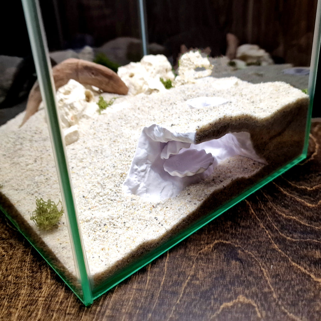 Aquarium Cave with Integrated Clam Shell Hide – 3D Printed Rock Texture Decor for Fish Tanks, Aquascapes, and Reptile Terrariums - PhD Aqua Fabrication