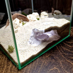 Aquarium Cave with Integrated Clam Shell Hide – 3D Printed Rock Texture Decor for Fish Tanks, Aquascapes, and Reptile Terrariums - PhD Aqua Fabrication