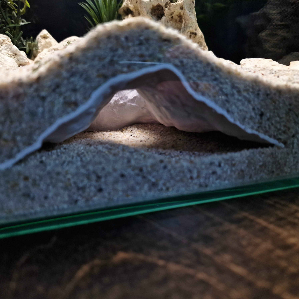 3D Printed Terrarium Decor – Hideout Cave for Terrarium, Aquarium - Fully Customizable Sizing