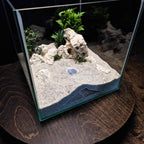 3D Printed Terrarium Decor – Hideout Cave for Terrarium, Aquarium - Fully Customizable Sizing