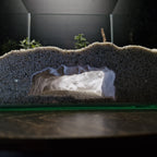 Aquarium Cave - Rock Hide for Cichlids & Axolotls and also for Terrariums – "Underground Ground" Model - PhD Aqua Fabrication