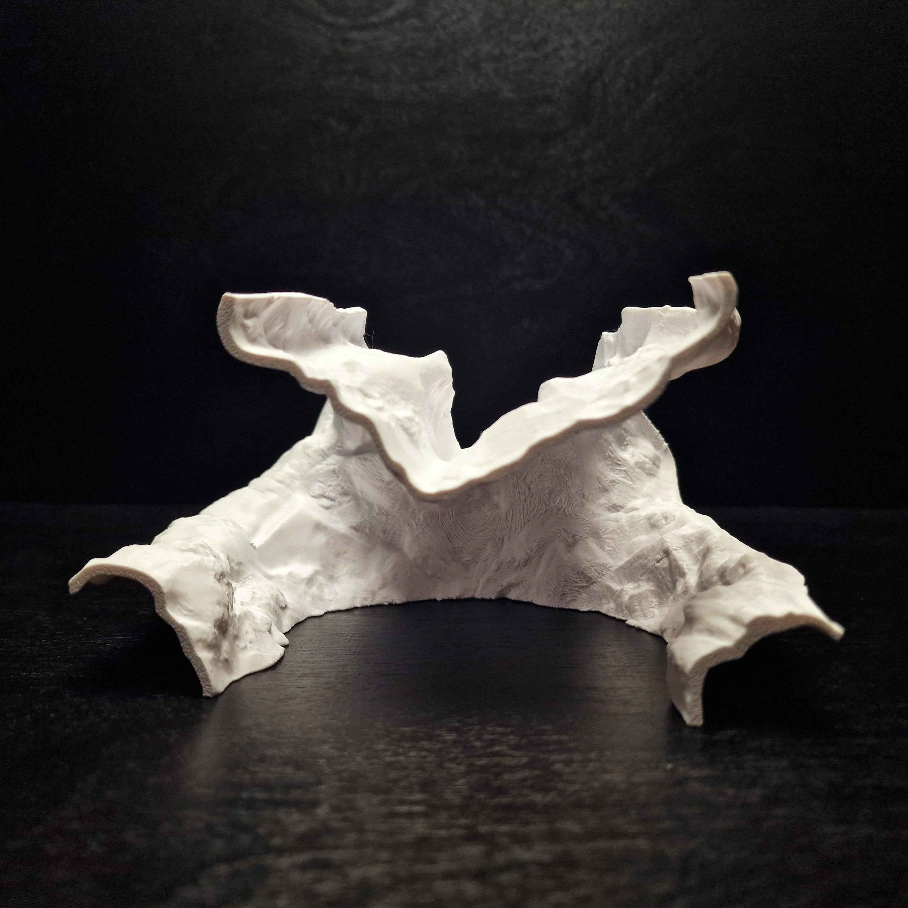 3D Printed Terrarium Cave Passageway – Aquarium Cichlid, Pleco, Gecko Hideout (Customizable)