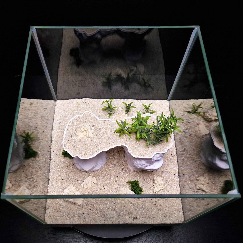 3D Printed Arch Hideout – Aquascape, Terrarium Rock Feature for Cichlids, Plecos, Reptiles