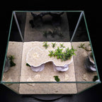 3D Printed Arch Hideout – Aquascape, Terrarium Rock Feature for Cichlids, Plecos, Reptiles
