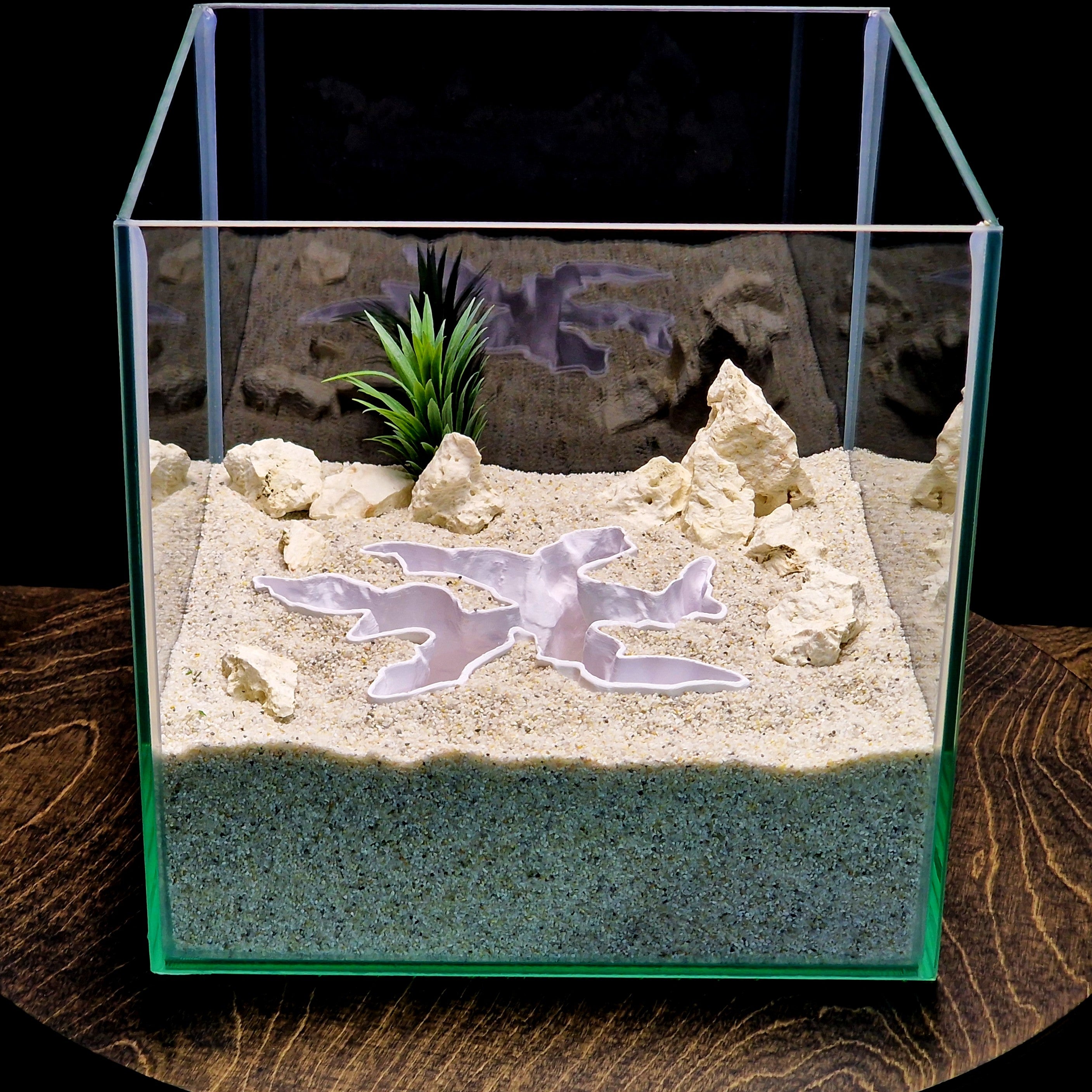 aquarium decor