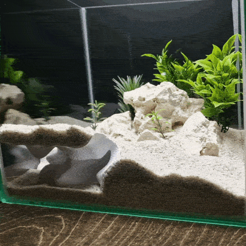 Terrarium Cave & Aquarium Tunnel | 3D Printed Under-Sand Hide for Aquascaping, Cichlids, Shrimp, and Reptiles - "Corner Office" Model - PhD Aqua Fabrication