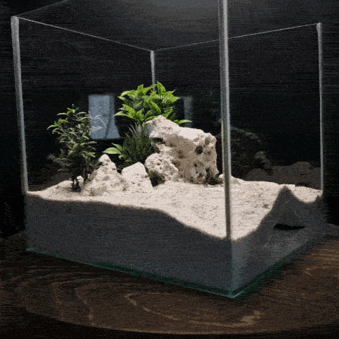 3D Printed Terrarium Decor – Hideout Cave for Terrarium, Aquarium, AQU-ONEWAY-BR-L, AQU-ONEWAY-WH-L, AQU-ONEWAY-BE-L, AQU-ONEWAY-GY-L