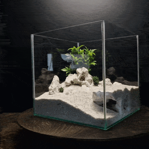 3D Printed Aquascape Cave – Multi-Chamber Reptile Hiding, Fish Shelter - "Take Your Pick" Model - PhD Aqua Fabrication