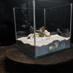 3D Printed Terrarium Cave – Rock Hideout for Terrarium, Aquarium, AQU-OFFCHA-BR-L, AQU-OFFCHA-WH-L, AQU-OFFCHA-BE-L, AQU-OFFCHA-GY-L