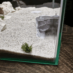 Aquarium Cave with Integrated Clam Shell Hide – 3D Printed Rock Texture Decor for Fish Tanks, Aquascapes, and Reptile Terrariums - PhD Aqua Fabrication