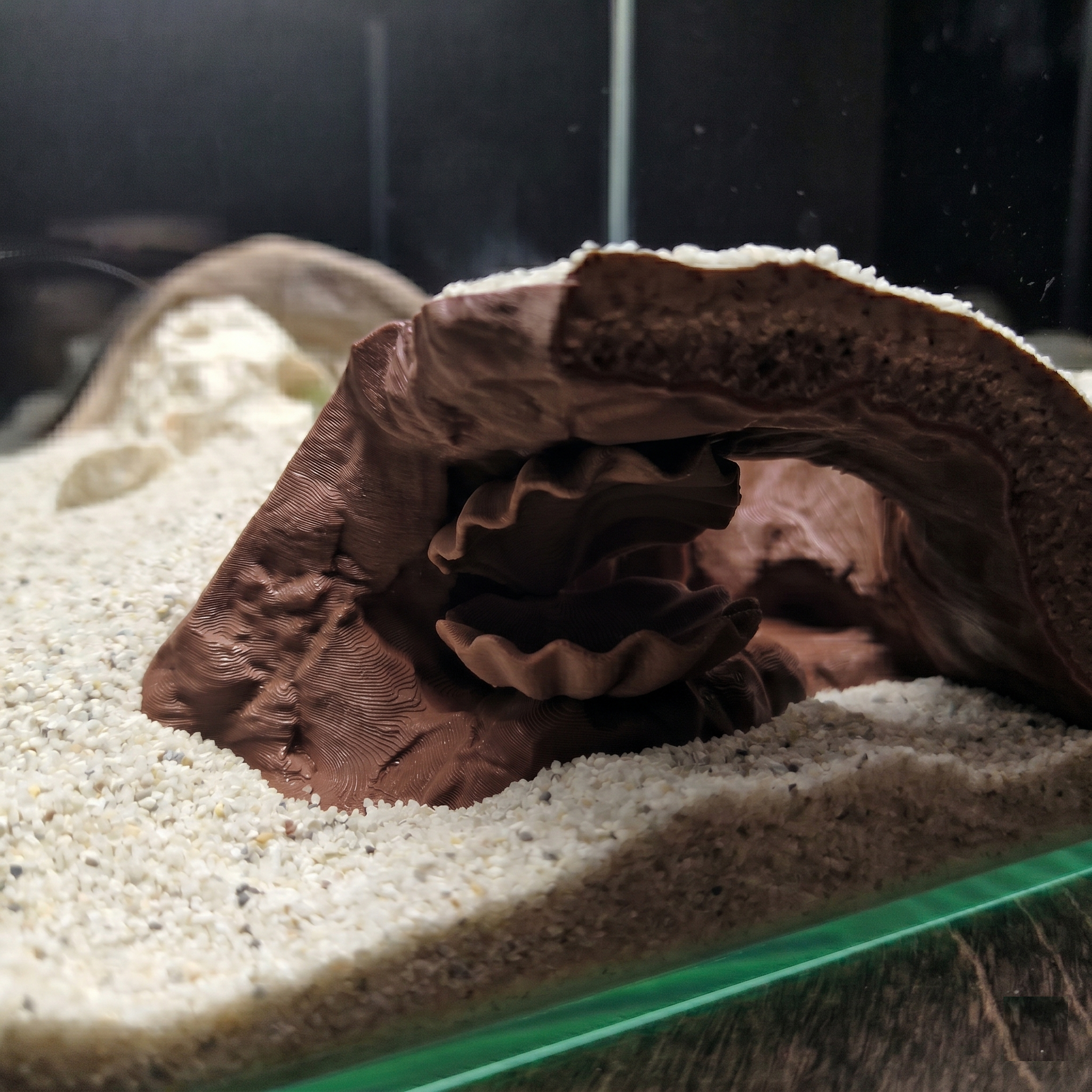 Aquarium Cave with Integrated Clam Shell Hide – 3D Printed Rock Texture Decor for Fish Tanks, Aquascapes, and Reptile Terrariums - PhD Aqua Fabrication