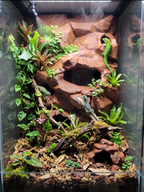 Terrarium Background Wall – 3D Rock Wall for Terrascaping and Aquascaping (Custom Dimensions), NOV-HOLYWA-BR-L, NOV-HOLYWA-BE-L, NOV-HOLYWA-GY-L, NOV-HOLYWA-WH-L
