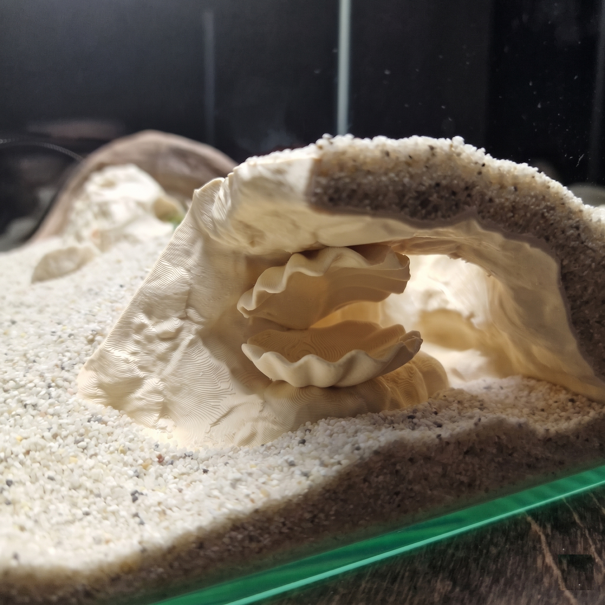 Aquarium Cave with Integrated Clam Shell Hide – 3D Printed Rock Texture Decor for Fish Tanks, Aquascapes, and Reptile Terrariums - PhD Aqua Fabrication