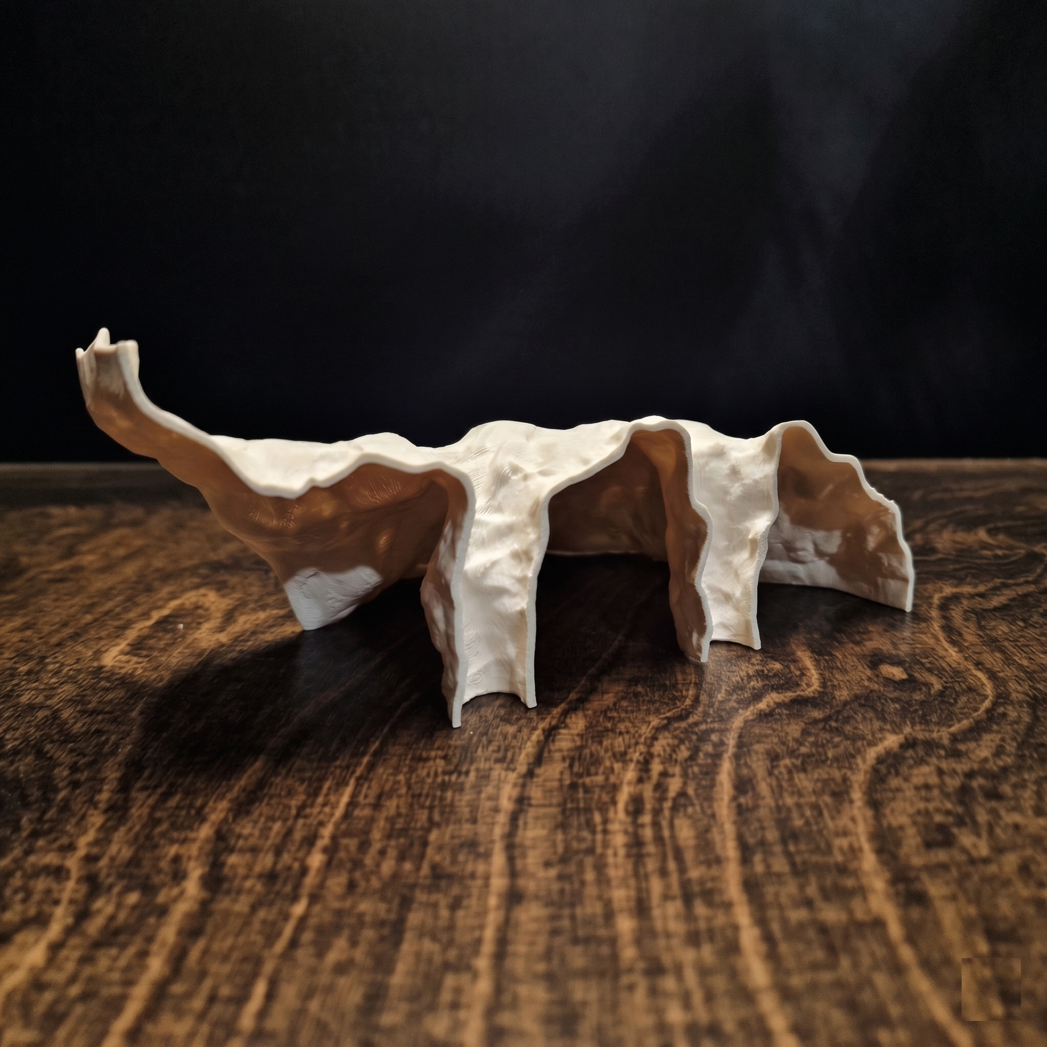 3D Printed Aquascape Cave – Multi-Chamber Reptile Hiding, Fish Shelter - "Take Your Pick" Model - PhD Aqua Fabrication