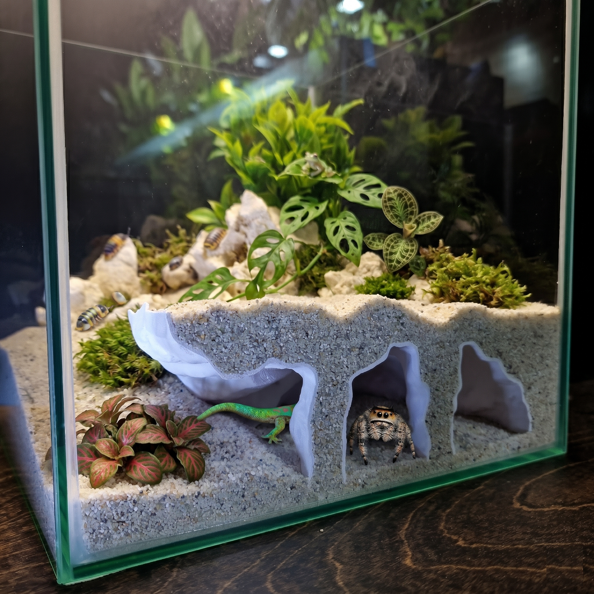 3D Printed Aquascape Cave – Multi-Chamber Reptile Hiding, Fish Shelter - "Take Your Pick" Model - PhD Aqua Fabrication