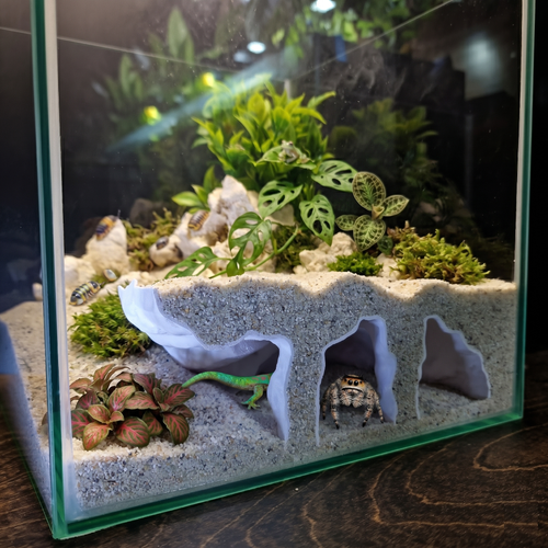 3D Printed Aquascape Cave – Multi-Chamber Reptile Hiding, Fish Shelter - "Take Your Pick" Model